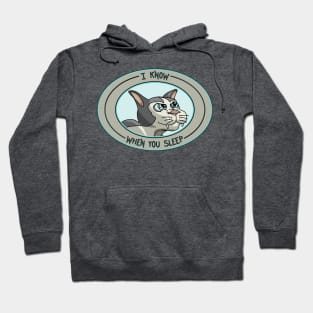 Sly Cat - I know when you sleep Hoodie